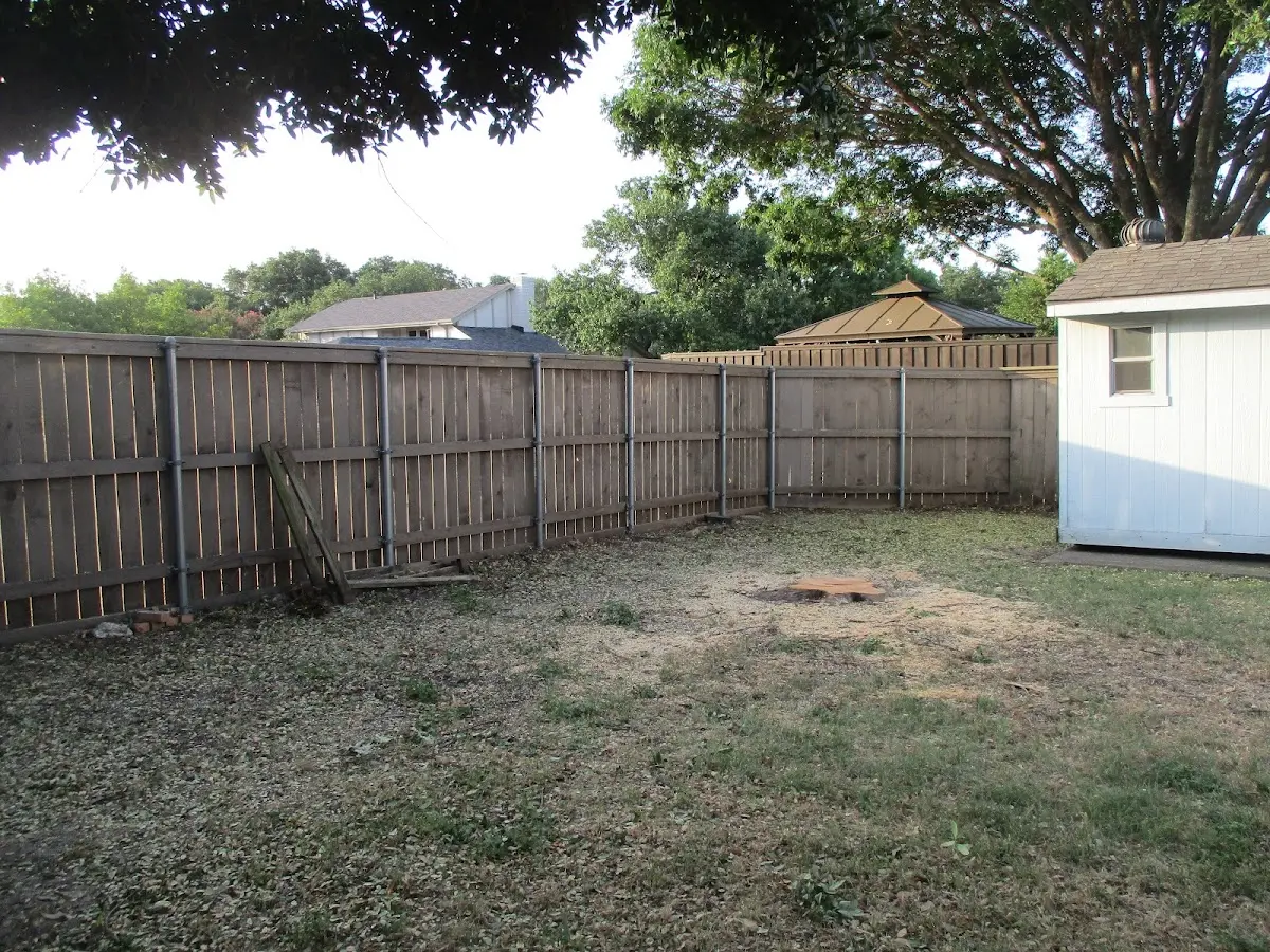 Cleared yard after professional tree removal in Attapulgus